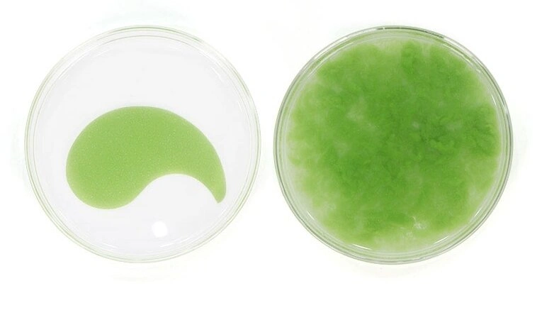 Medi Peel Hyaluron Cica Peptide 9 Ampoule Eye Patch Гідрогелеві Патчі заспокійливі з пептидами, 60шт 0000000306 фото